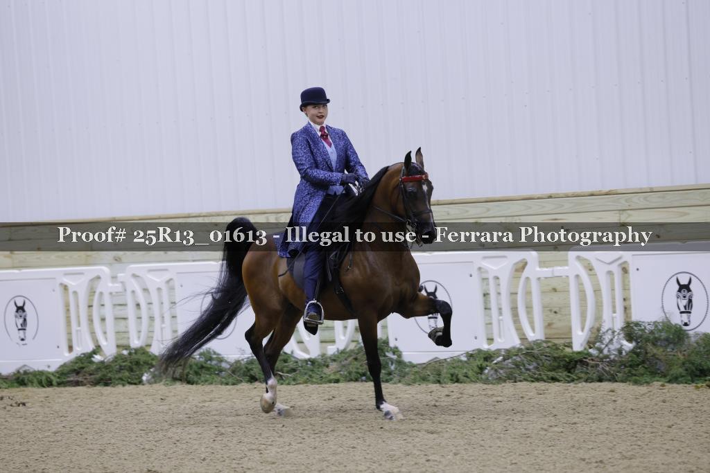 Proof Number 25R13_01613