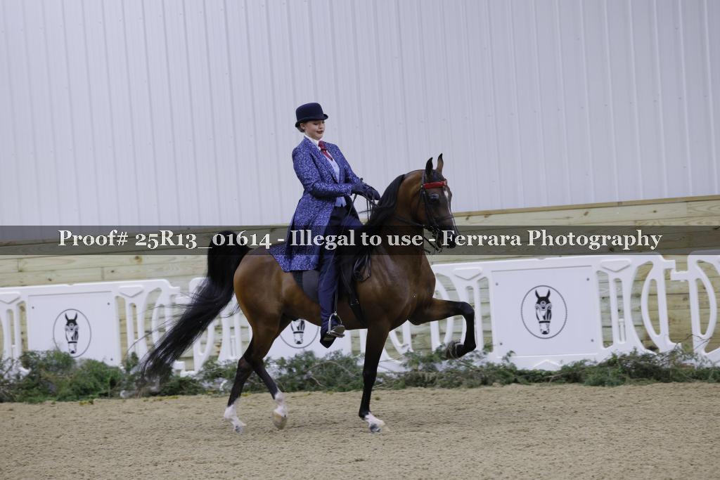 Proof Number 25R13_01614