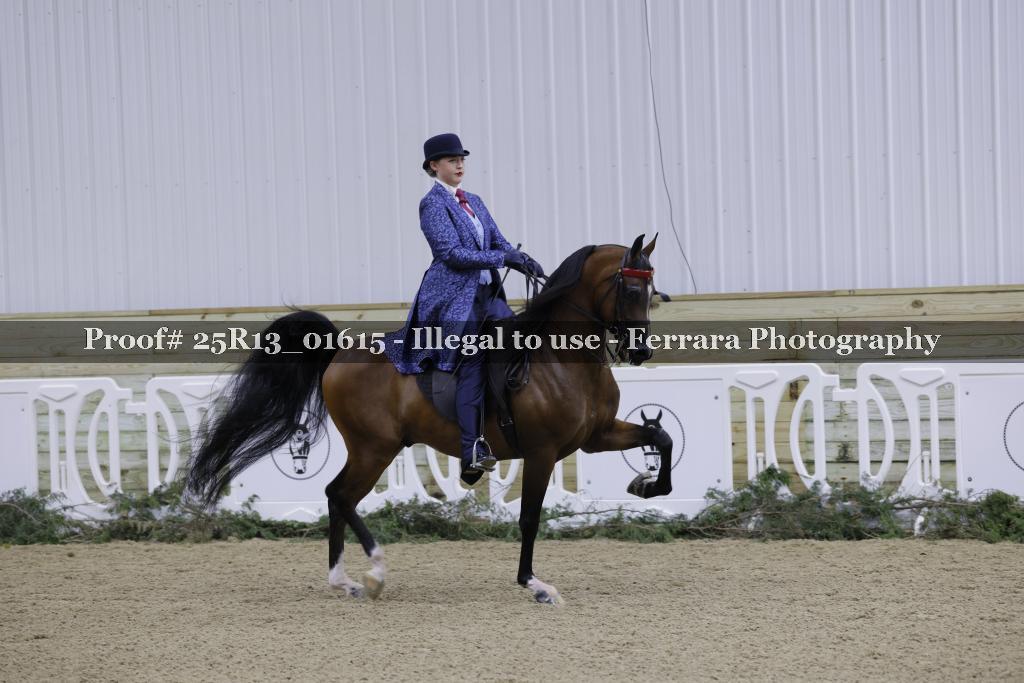 Proof Number 25R13_01615