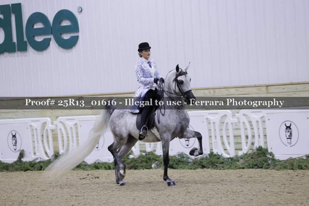 Proof Number 25R13_01616