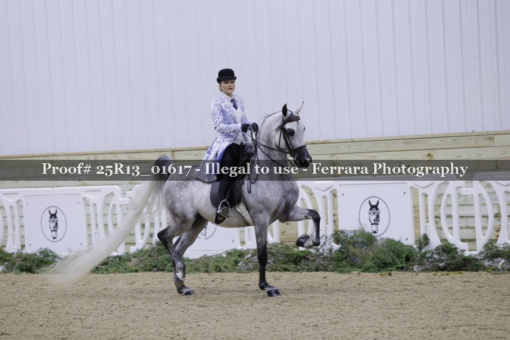 Proof Number 25R13_01617