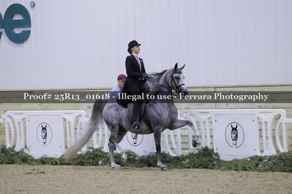 Proof Number 25R13_01618