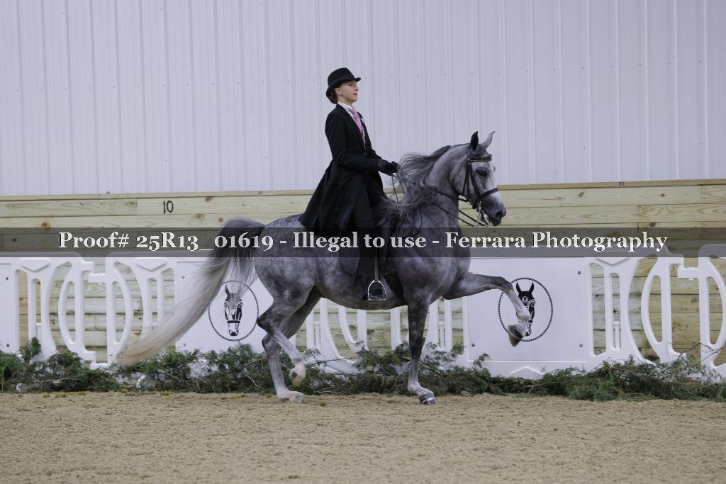 Proof Number 25R13_01619