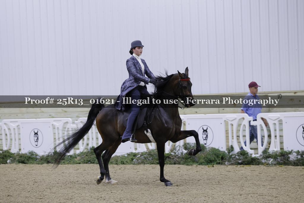Proof Number 25R13_01621