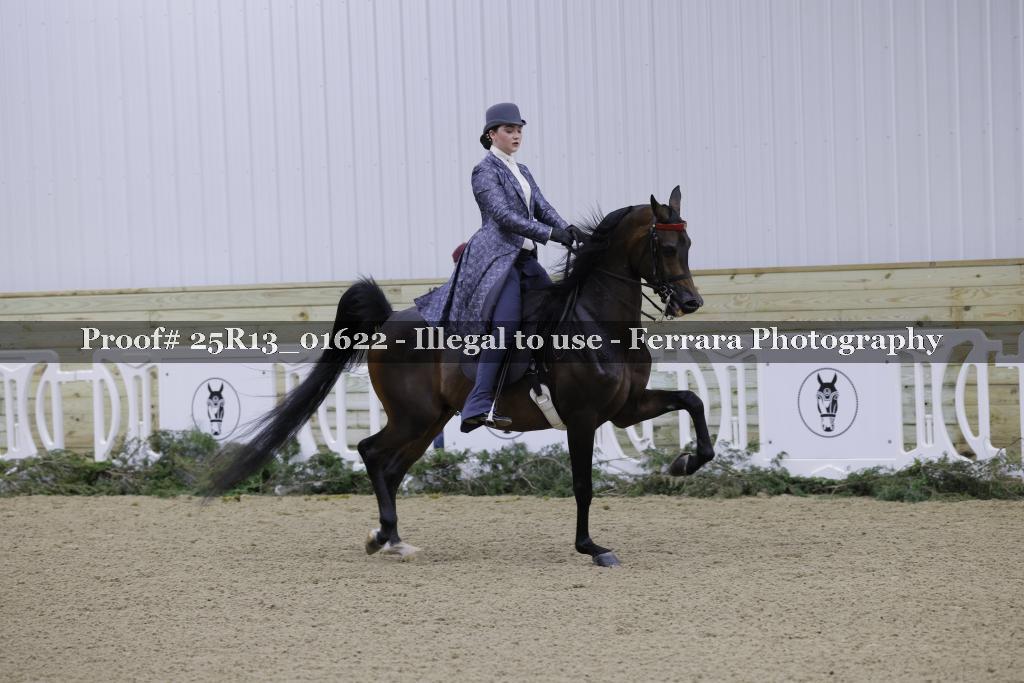 Proof Number 25R13_01622