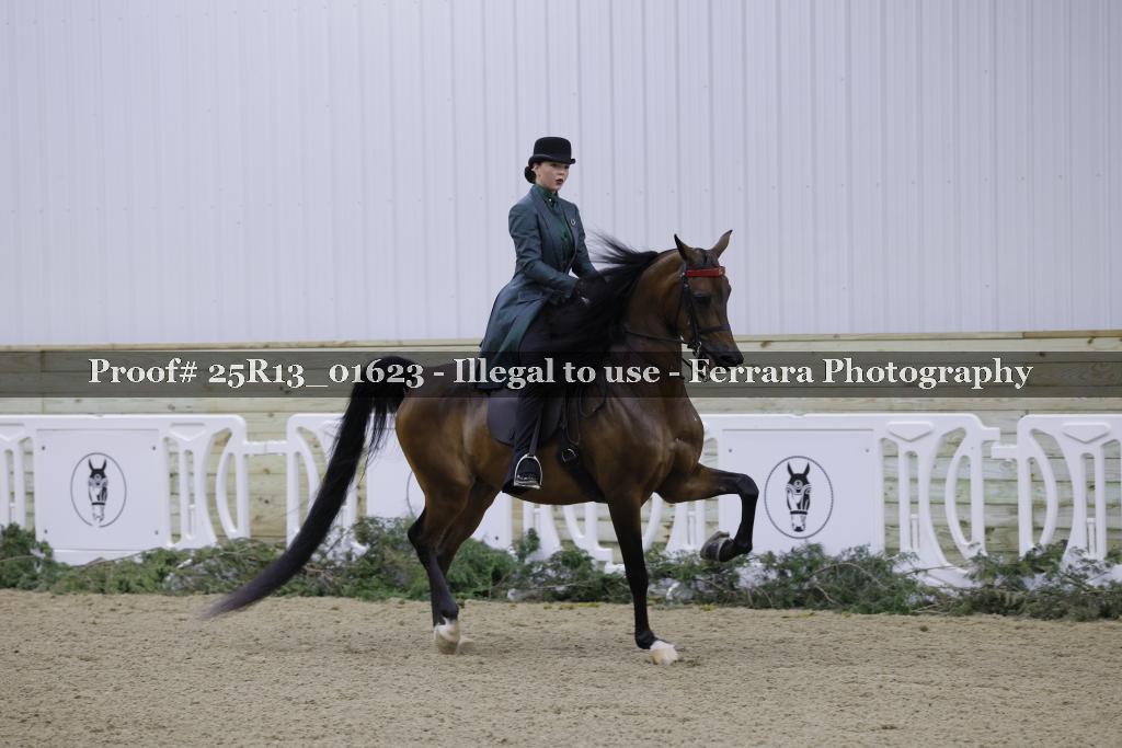 Proof Number 25R13_01623