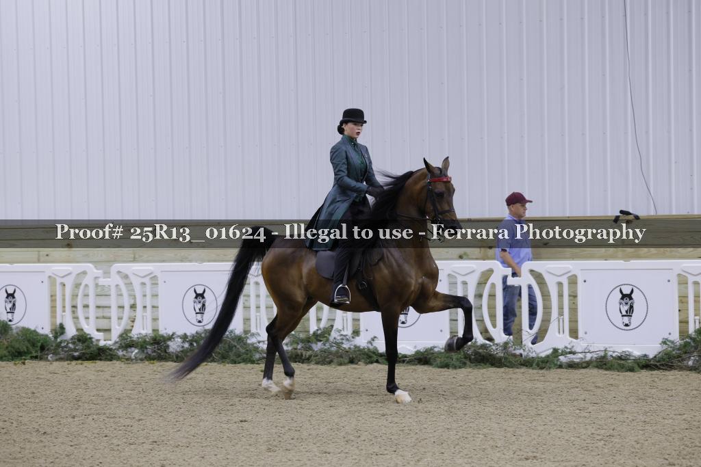 Proof Number 25R13_01624