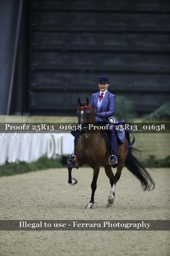 Proof Number 25R13_01638