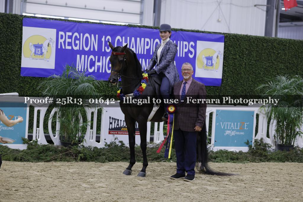 Proof Number 25R13_01642