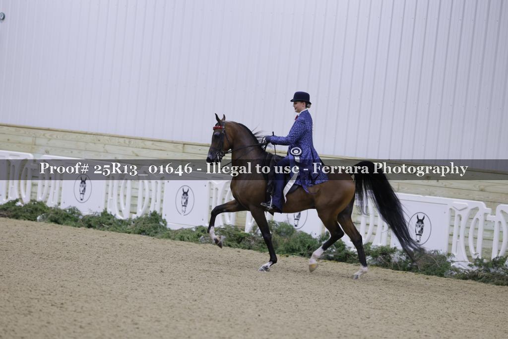 Proof Number 25R13_01646