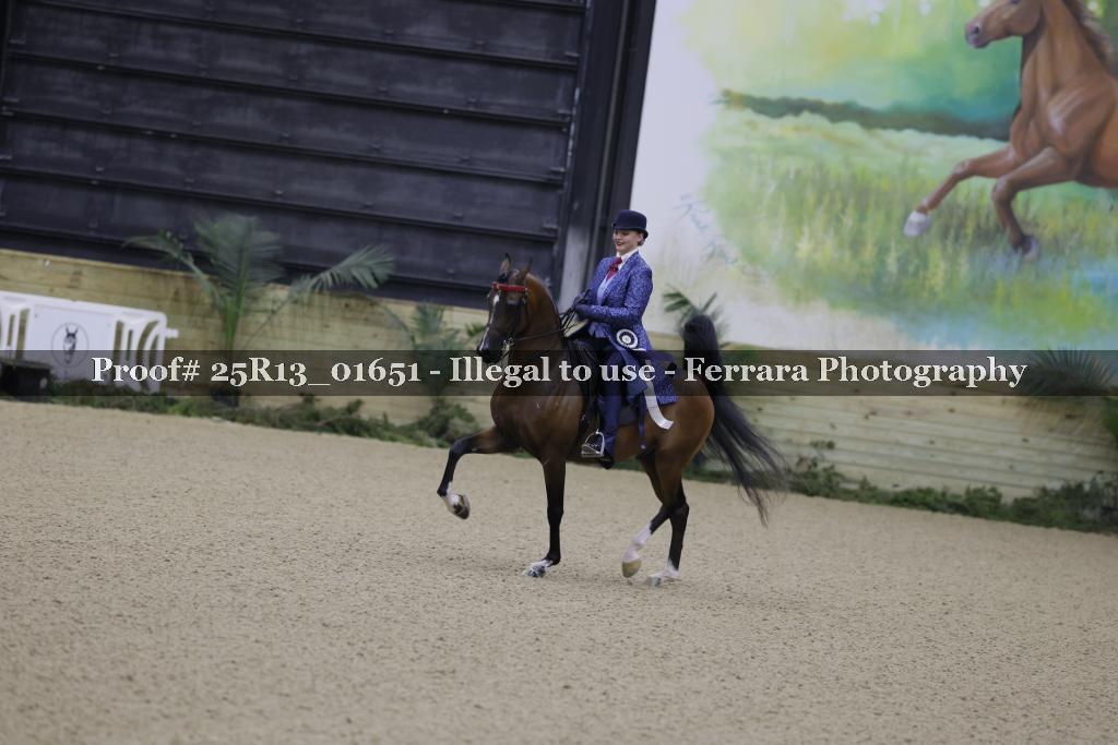 Proof Number 25R13_01651