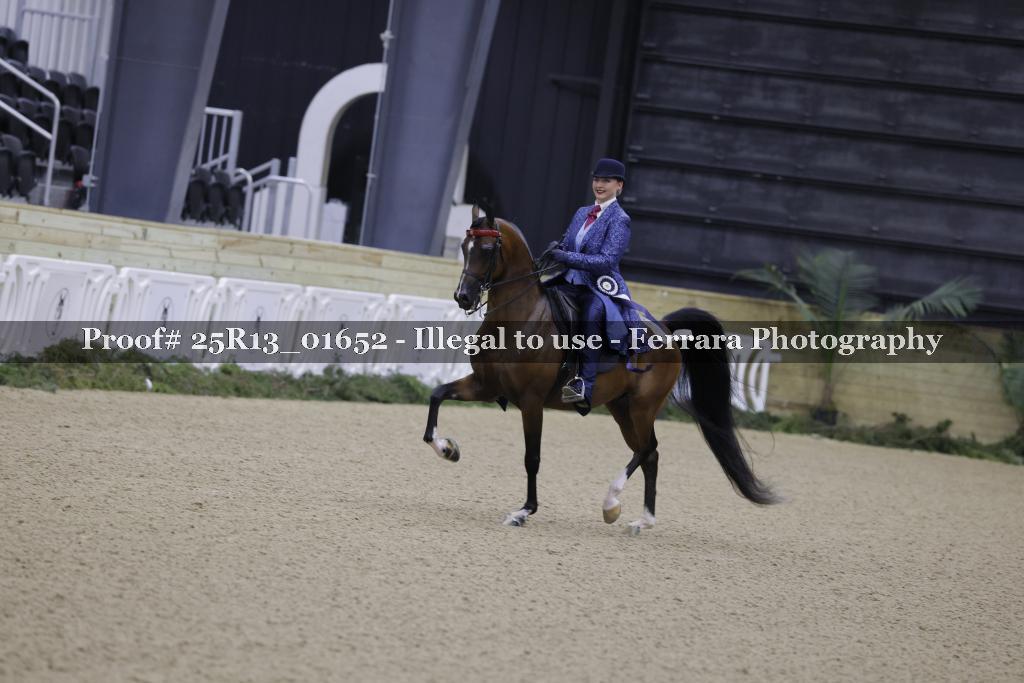 Proof Number 25R13_01652