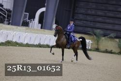 25R13_01652 thumbnail