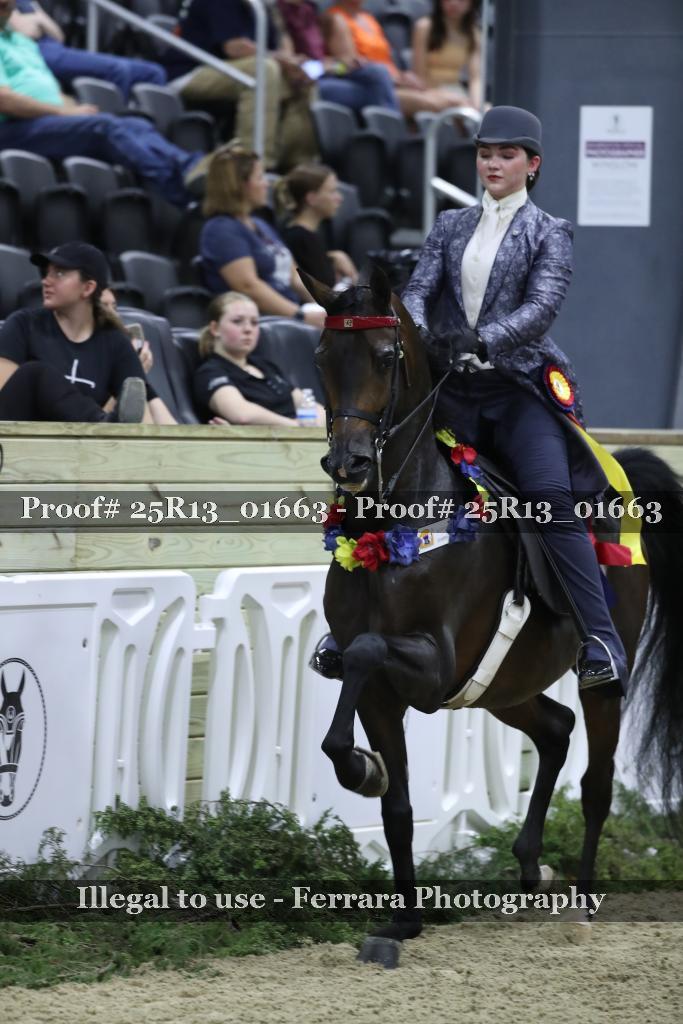 Proof Number 25R13_01663