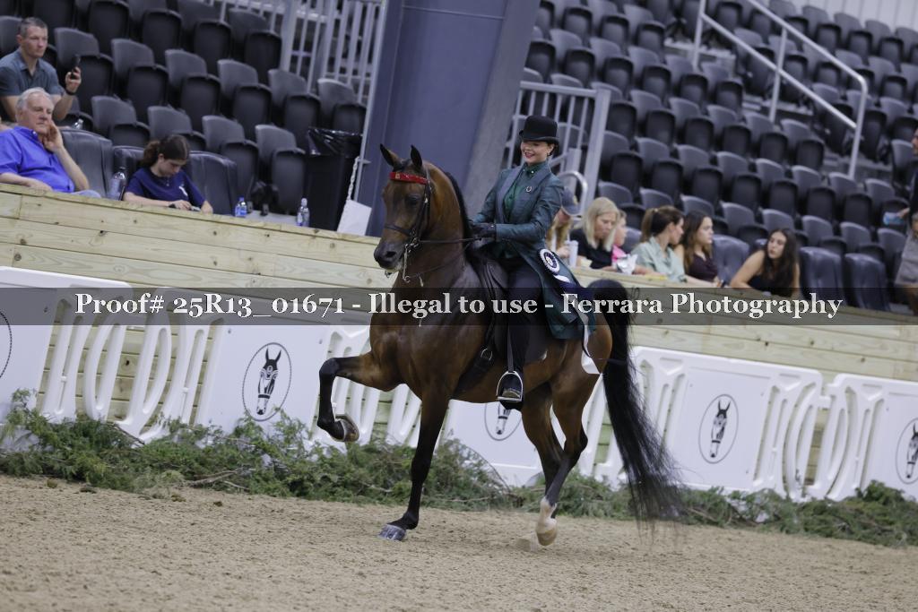 Proof Number 25R13_01671