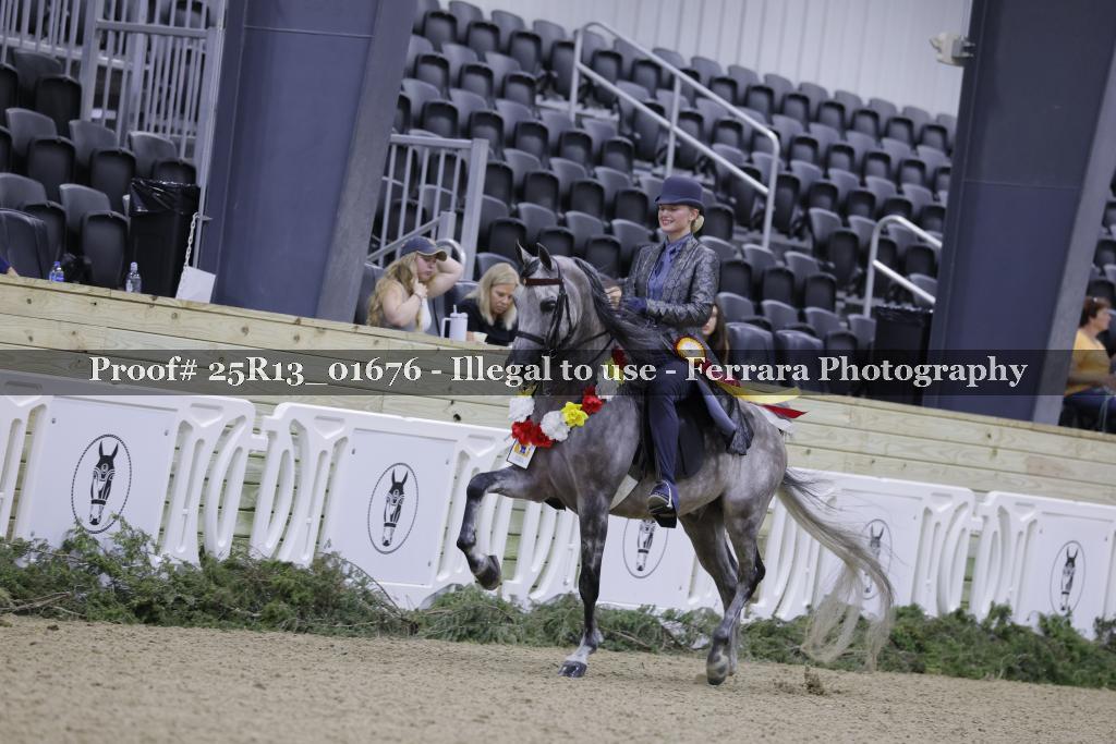 Proof Number 25R13_01676