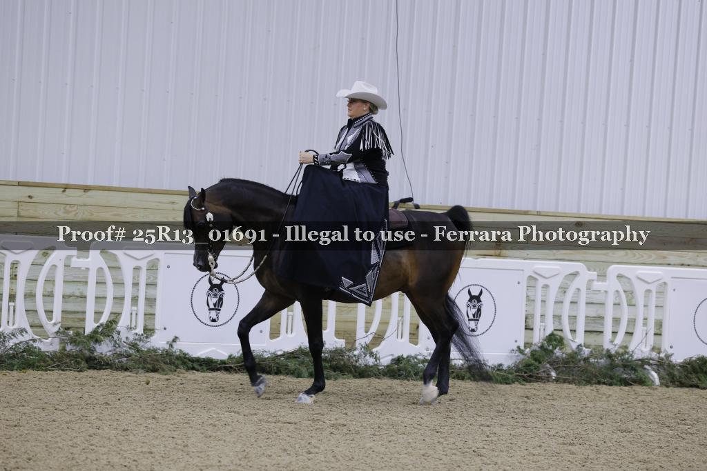 Proof Number 25R13_01691