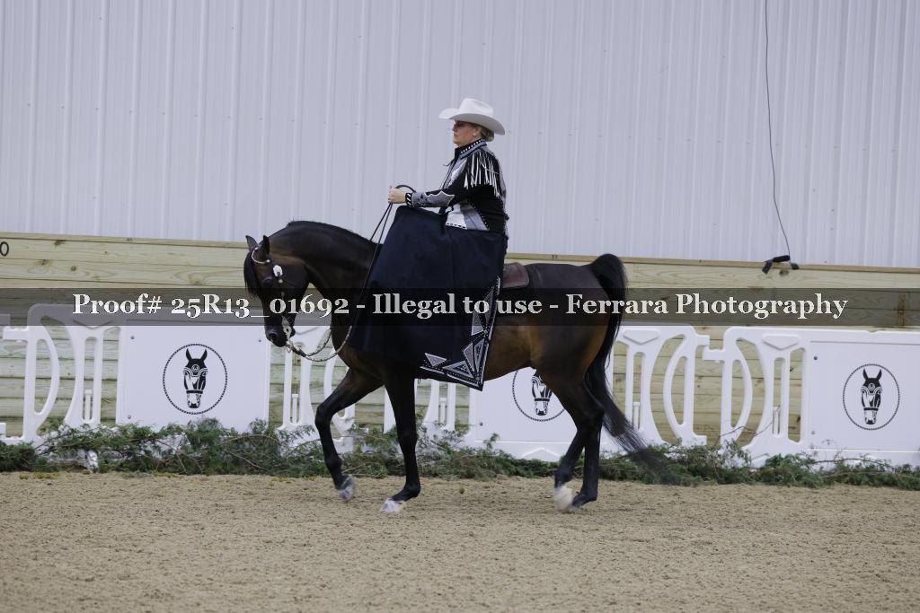Proof Number 25R13_01692