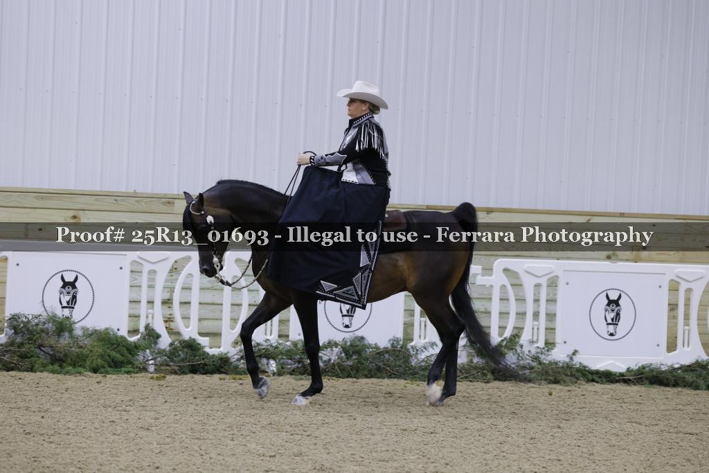Proof Number 25R13_01693