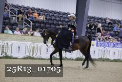 25R13_01705 thumbnail