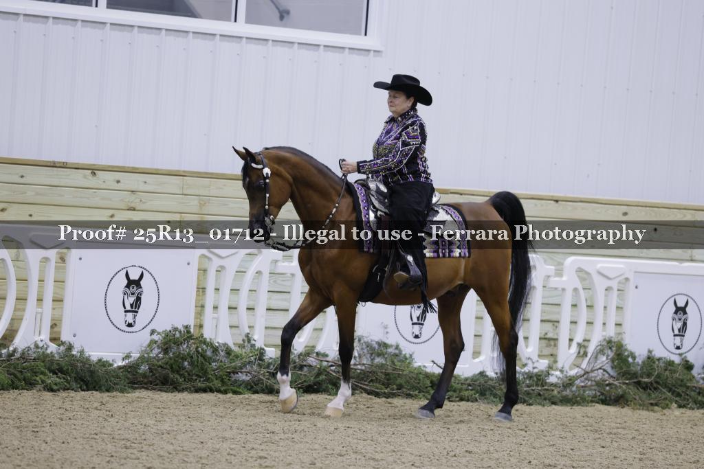 Proof Number 25R13_01712