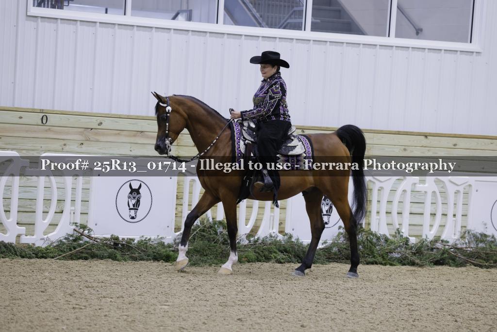 Proof Number 25R13_01714