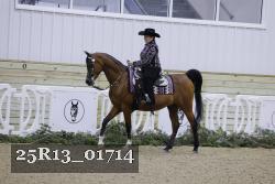 25R13_01714 thumbnail