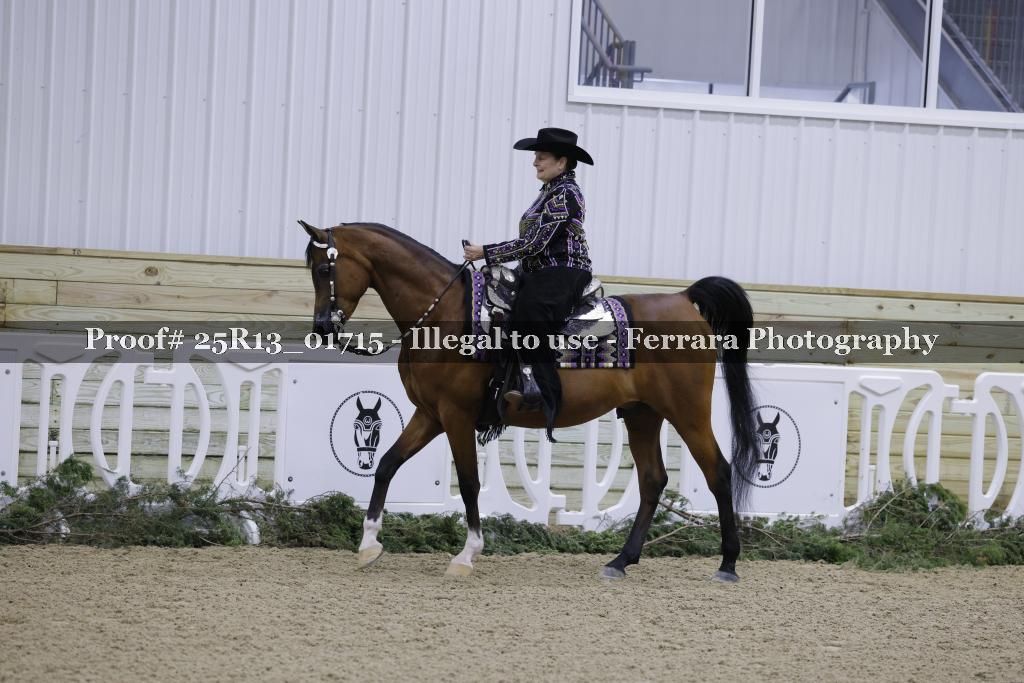 Proof Number 25R13_01715