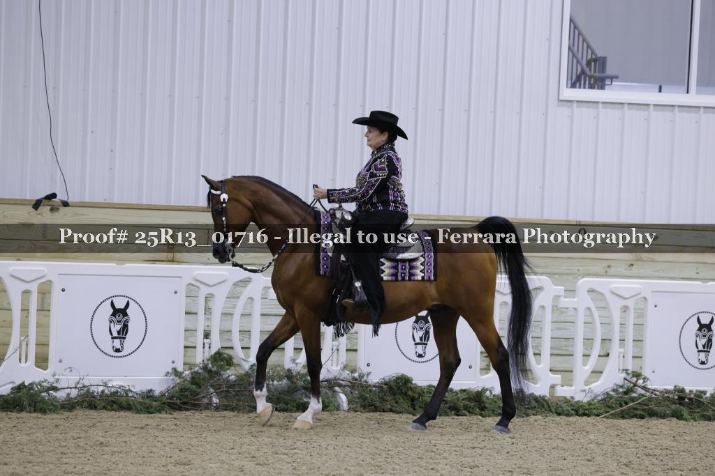 Proof Number 25R13_01716