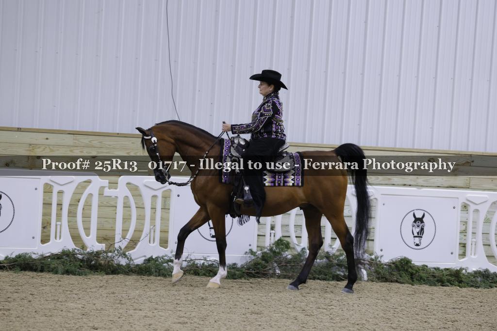 Proof Number 25R13_01717