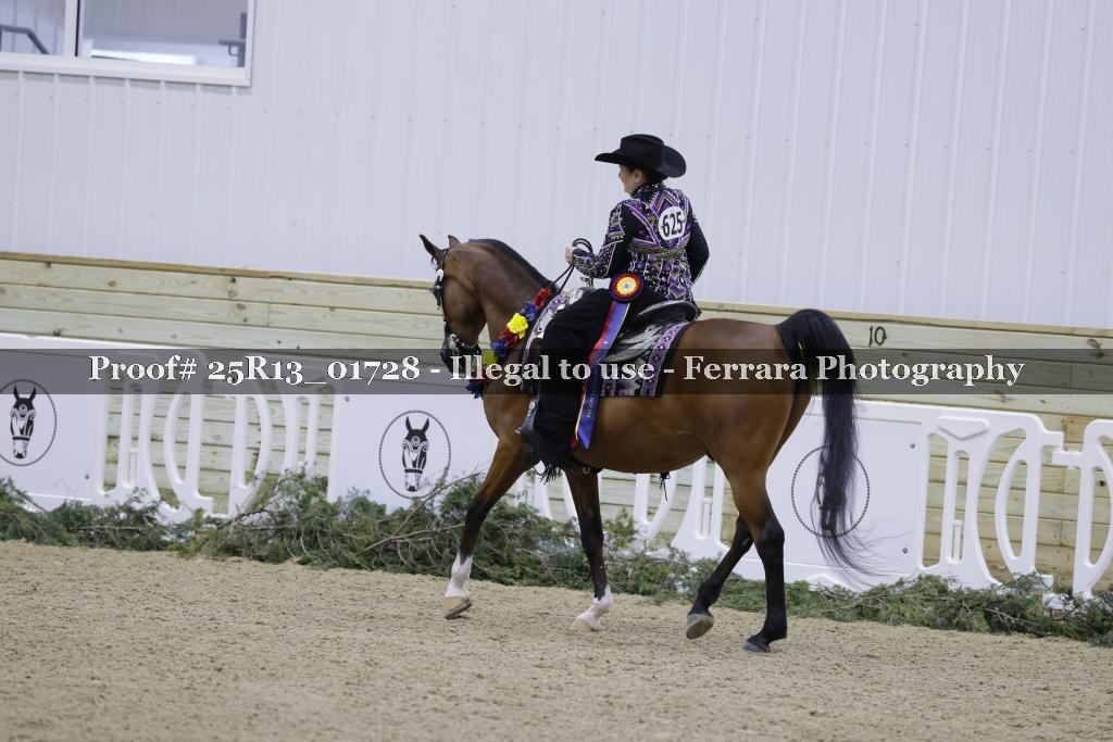 Proof Number 25R13_01728