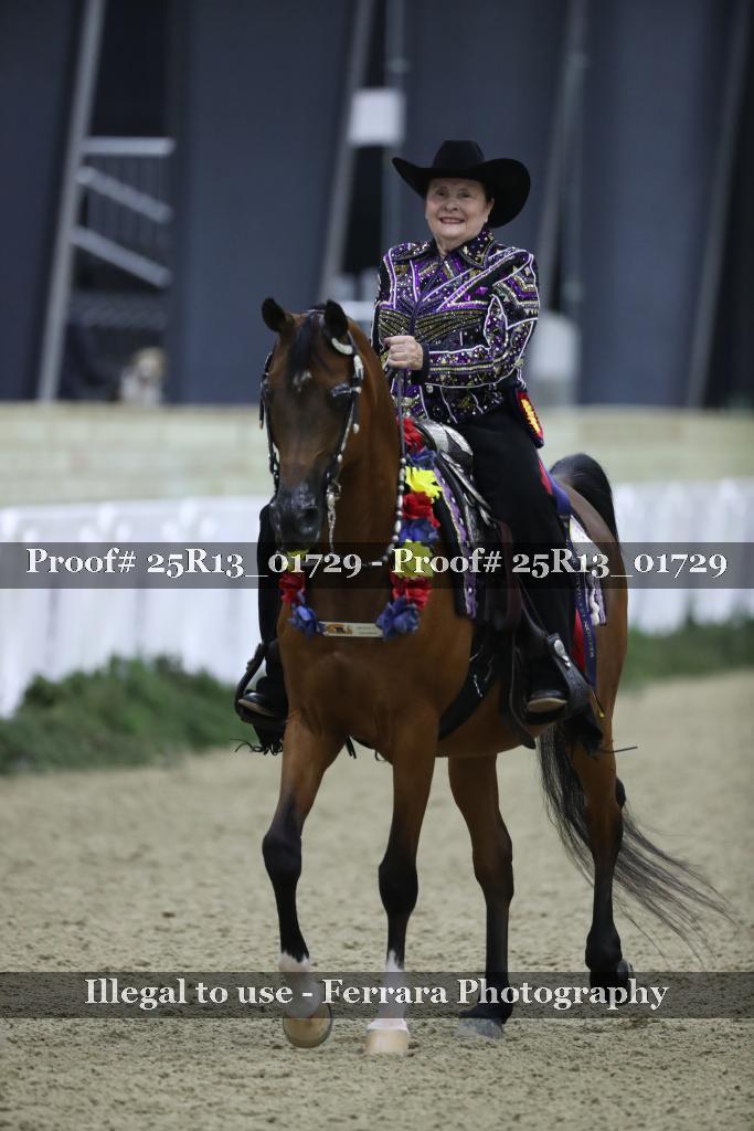Proof Number 25R13_01729