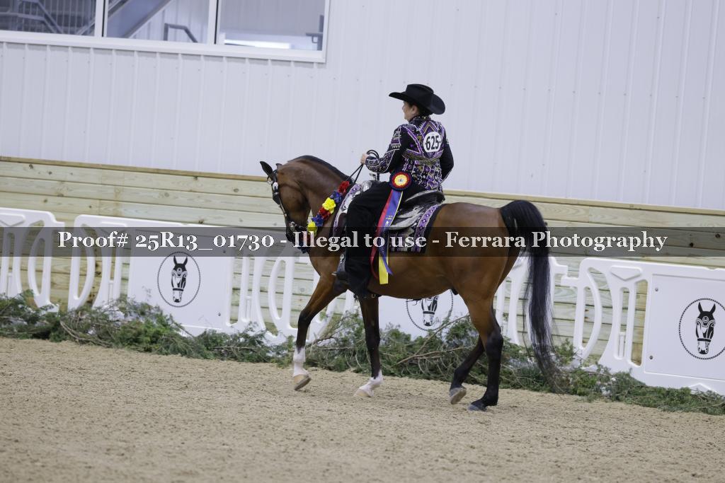 Proof Number 25R13_01730