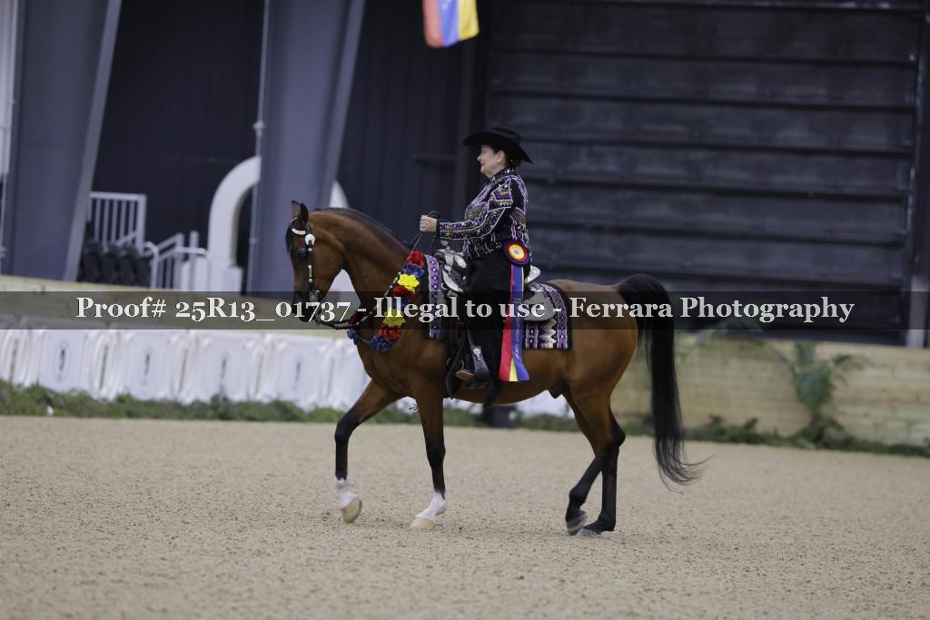 Proof Number 25R13_01737