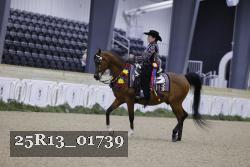 25R13_01739 thumbnail