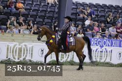25R13_01745 thumbnail