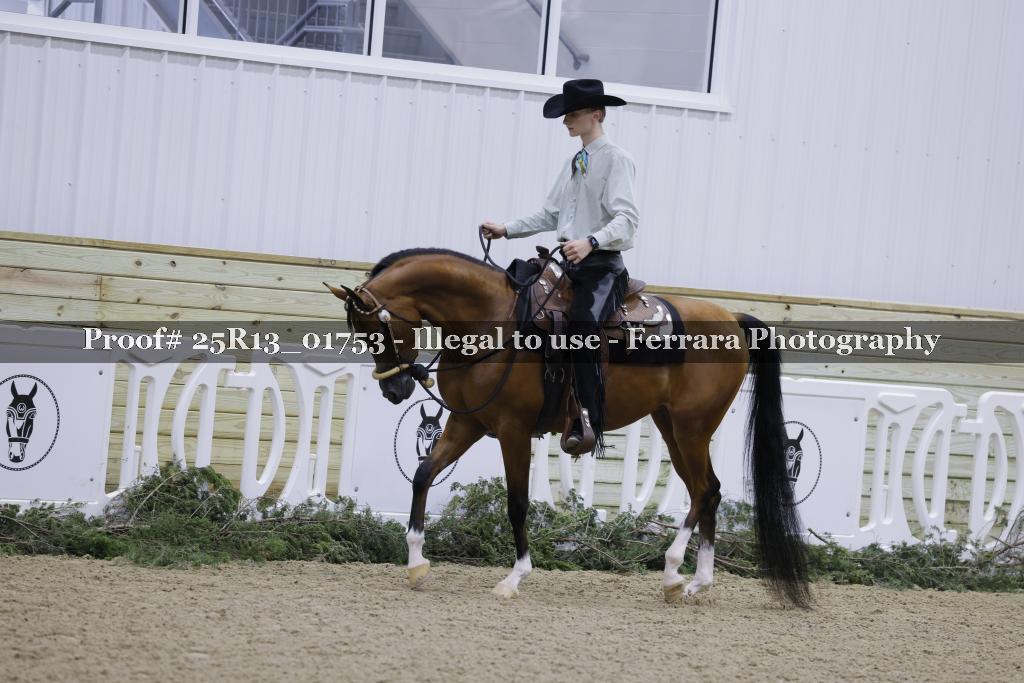 Proof Number 25R13_01753