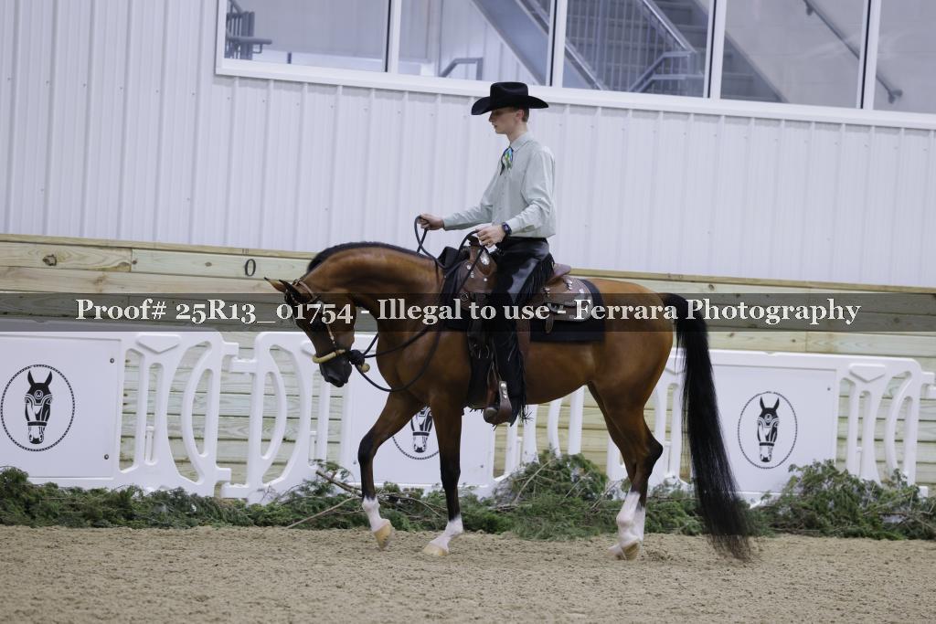 Proof Number 25R13_01754