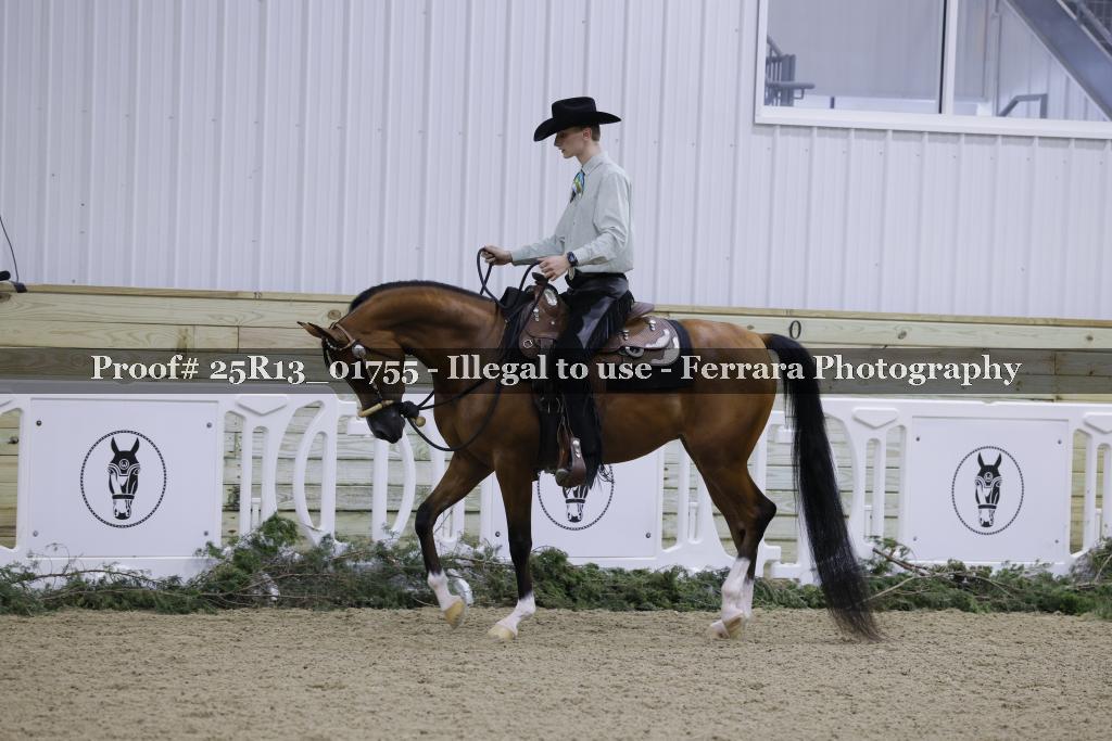 Proof Number 25R13_01755