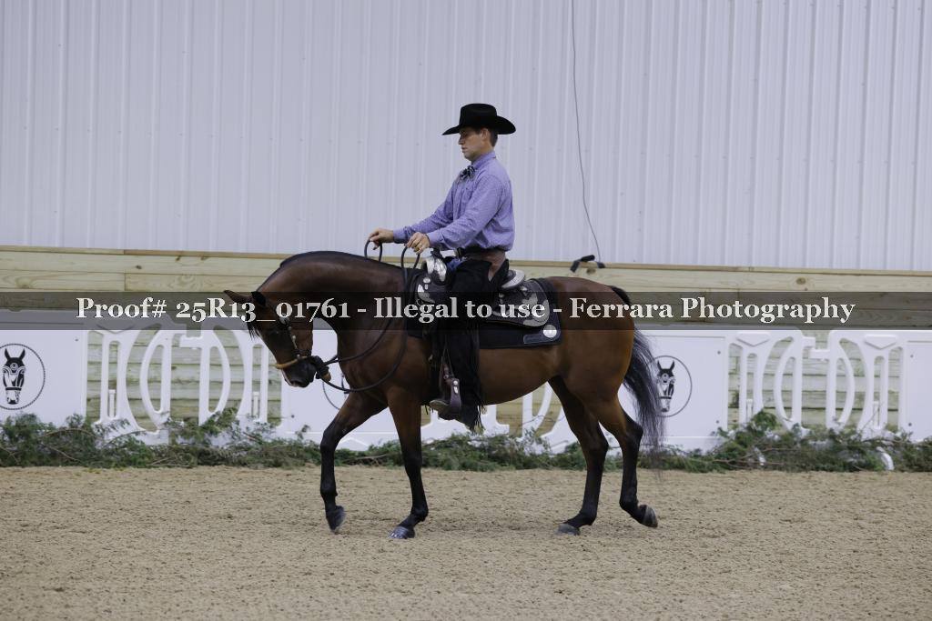 Proof Number 25R13_01761