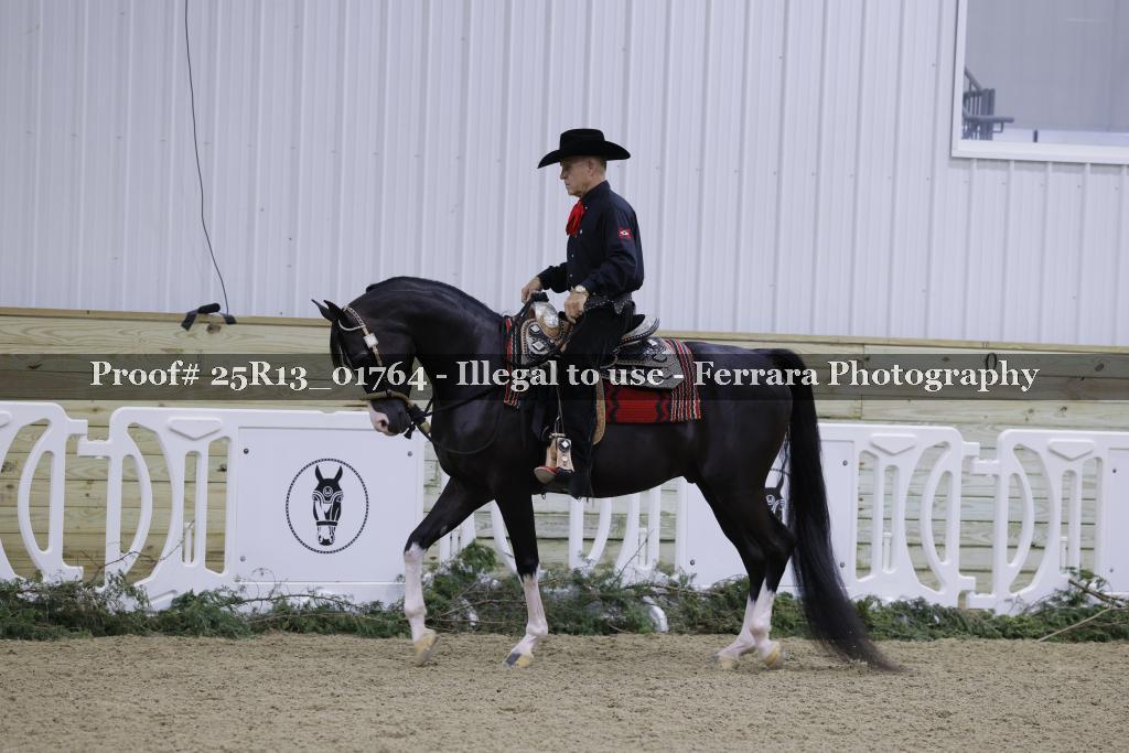 Proof Number 25R13_01764