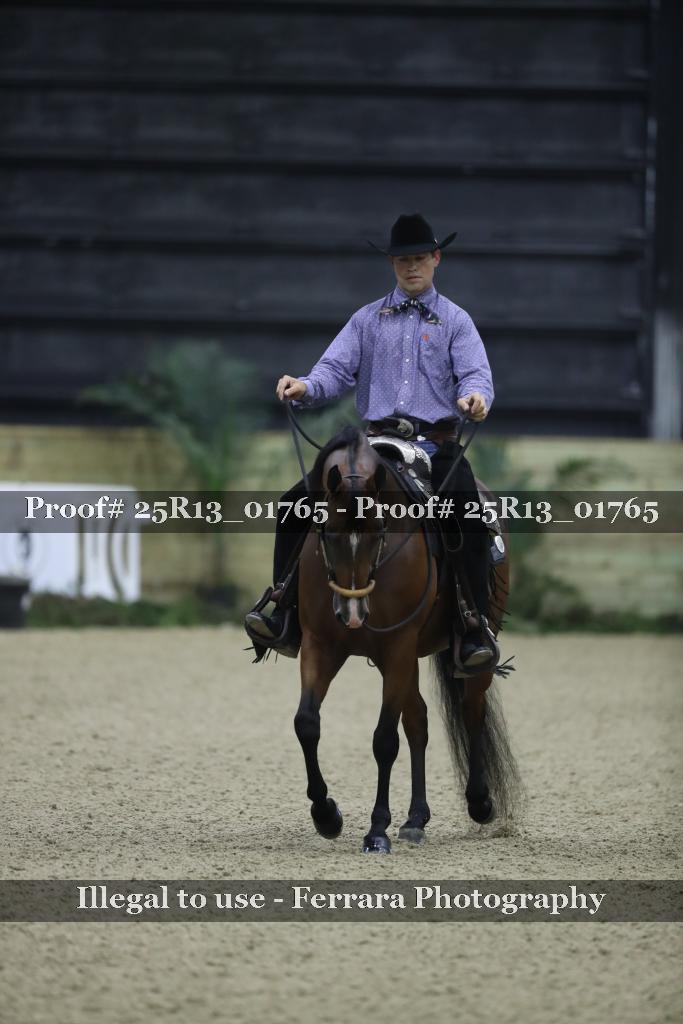 Proof Number 25R13_01765