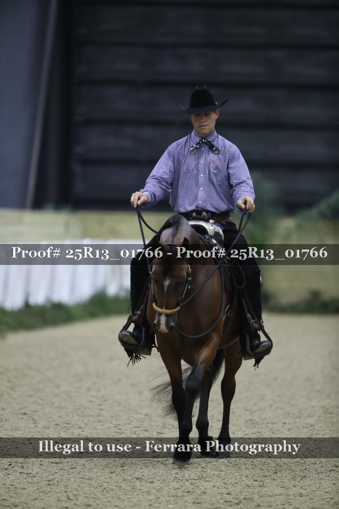 Proof Number 25R13_01766