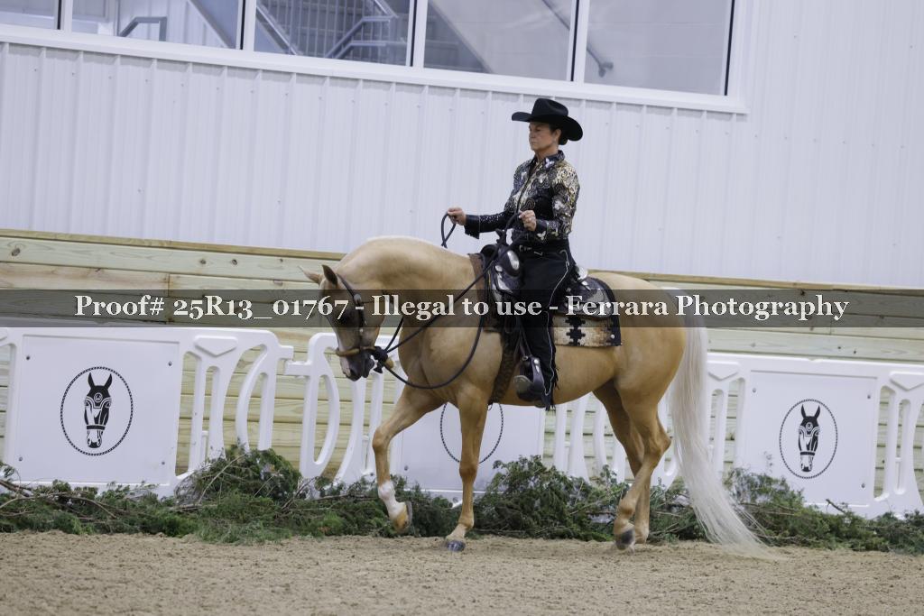 Proof Number 25R13_01767