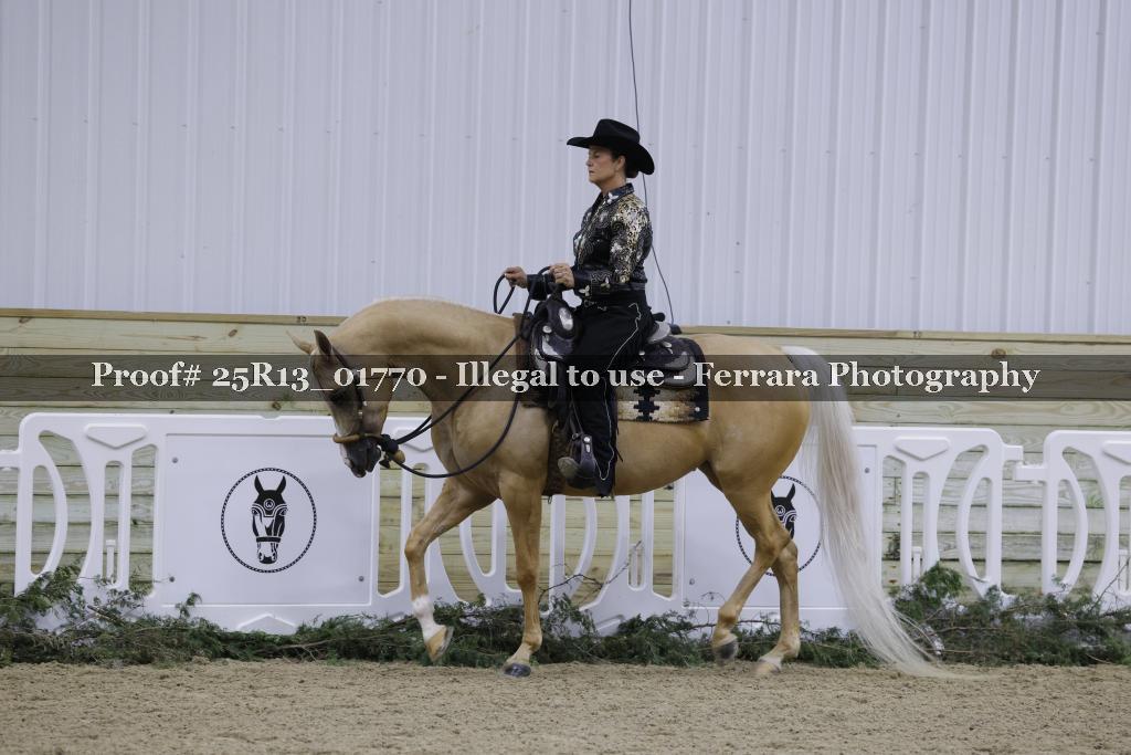 Proof Number 25R13_01770