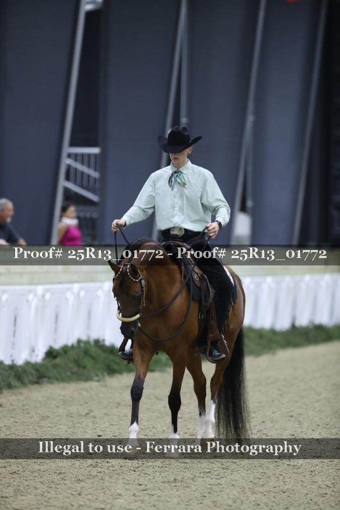 Proof Number 25R13_01772