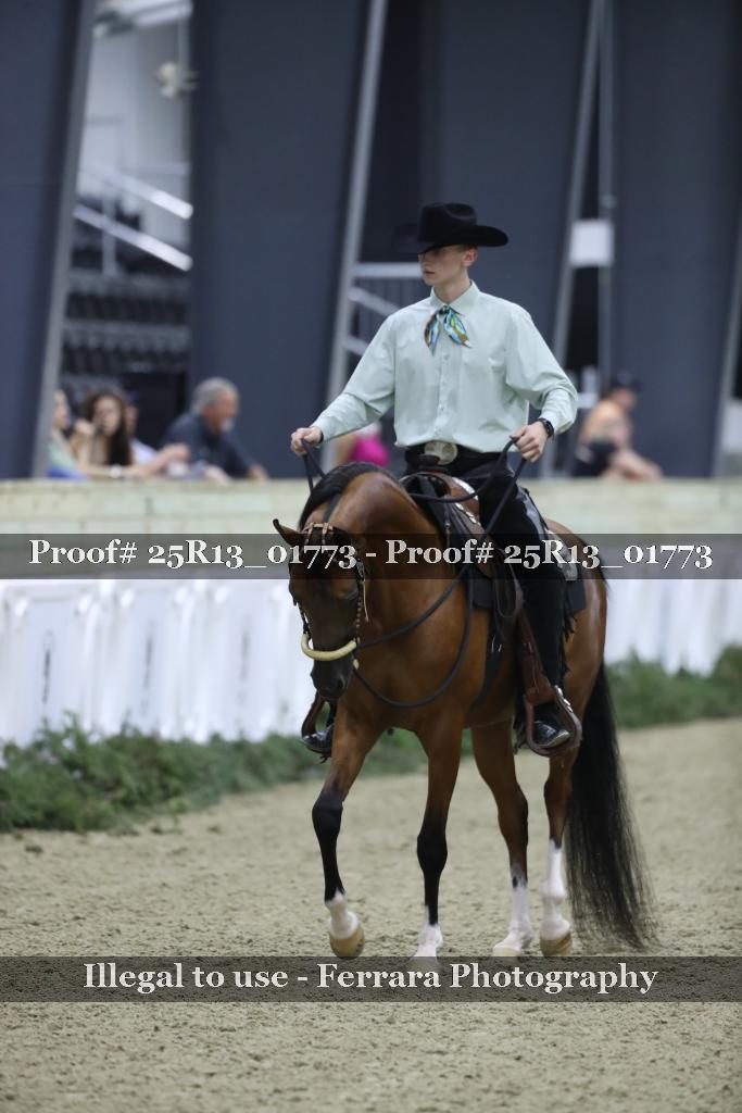 Proof Number 25R13_01773