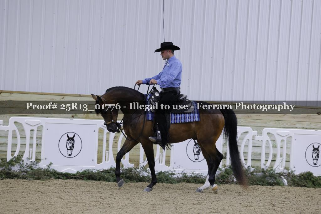 Proof Number 25R13_01776