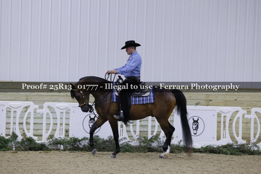 Proof Number 25R13_01777