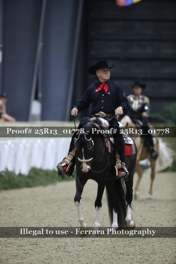 Proof Number 25R13_01778